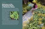 Rosemary Gladstar's Medicinal Herbs: A Beginner's Guide: 33 Healing Herbs to Kno... - Image 3