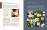 Rosemary Gladstar's Medicinal Herbs: A Beginner's Guide: 33 Healing Herbs to Kno... - Image 4