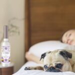 SOUL STICKS Cleansing Water 7.5 oz. Bottle for Clearing Negative Energy and Puri... - Image 8