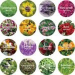 16 Bags Dried Flowers,100% Natural Dried Flowers Herbs Kit for Soap Making, DIY ... - Image 3