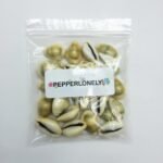 PEPPERLONELY 25PC Money Cowrie Sea Shells, Monetaria Monta Shells, 3/4 Inch ~ 1-... - Image 4