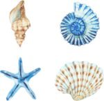 Yookeer 4 Pcs Beach Wall Decor Seashell Starfish Bathroom Decor Rustic Ocean Coa... - Image 2