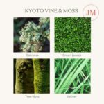 LA JOLIE MUSE Kyoto Vine & Moss Scented Candles, Vine Candles for Home Scented, ... - Image 4