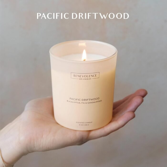 Benevolence LA Scented Candle | Eucalyptus, Fig & Sandalwood Candles for Home Sc... - Image 3