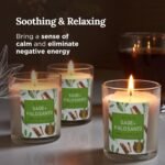 Magnificent 101 3 Long Lasting Pure Sage + Palo Santo Candles | 3.5 Oz Each - 42... - Image 5