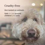 Magnificent 101 Long Lasting Aromatherapy Candle for Mental Clarity & Purity | 6... - Image 5