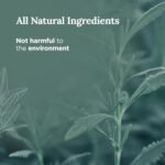 Magnificent 101 Pure White Sage Collective Aromatherapy Candle | 6 Oz - 35-Hour ... - Image 4