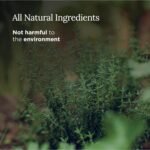 Magnificent 101 Long Lasting Healing Set of 3 Aromatherapy Candles | 3.5 Oz Each... - Image 4