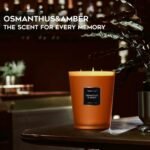 HomeLights Large Jar Candle-33.3 Oz. Natural Soy Aromatherapy Candle | Osmanthus... - Image 6