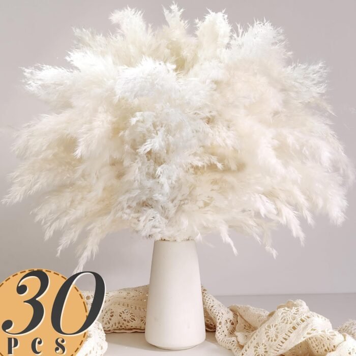 40PCS White Pampas Grass for Home Decor - Elegant Boho Decor - Premium Quality P... - Image 5