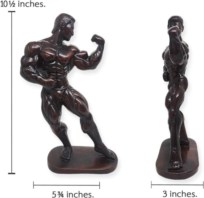 Bodybuilding 10½" High Front Biceps Pose Male Bodybuilder Figurine 3D Resin Musc... - Image 3