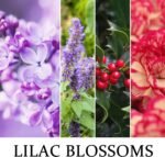 Lilac Blossoms Scented Candles,7oz Hand-Poured Home Fragrance,Long-Lasting Flora... - Image 5