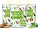 Magnificent 101 3 Long Lasting Pure Sage + Palo Santo Candles | 3.5 Oz Each - 42... - Image 2