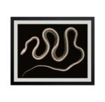 Monem Art Vintage Snake Poster - Retro X-Ray Snake Print - Serpent Art - Reptile... - Image 2