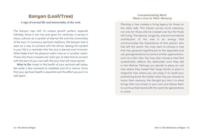 The Book of Signs: 150 Symbols and Their Spiritual Messages from the Other Side - Image 4