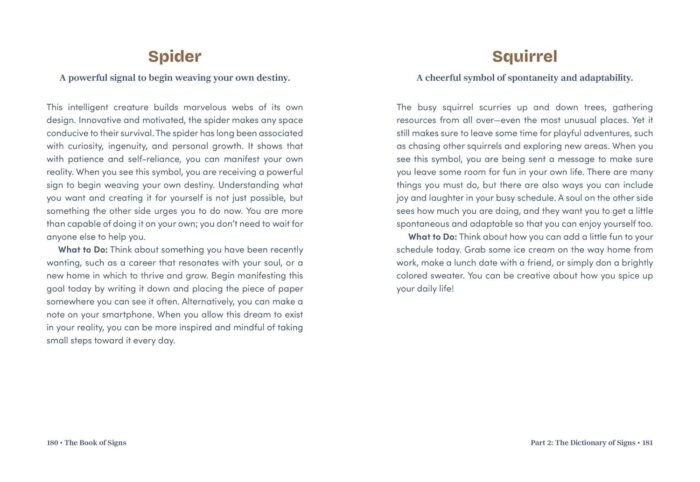 The Book of Signs: 150 Symbols and Their Spiritual Messages from the Other Side - Image 7