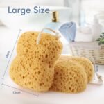 Sponges Bath, 2Pcs Larger Shower Sponges for Women Men, Exfoliating Body Sponge ... - Image 3