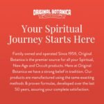 Original Botanica Ghost Chaser Big Al Bath and Floor Wash Spiritual Cleansing Ne... - Image 3