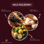 Colonial Candle Wild Mulberry Scented Candle Jar, Highly Fragranced Candles for ... - Image 3