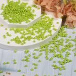 3mm Light Green Seed Beads 8/0 50gram About 1780pcs Seed Beads for Making Wrist ... - Image 3