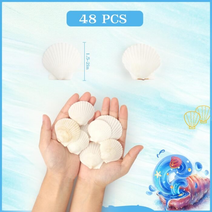 Jangostor 48 PCS Scallop Shells Natural Seashell, 1.5" to 2" White Scallop Shell... - Image 3
