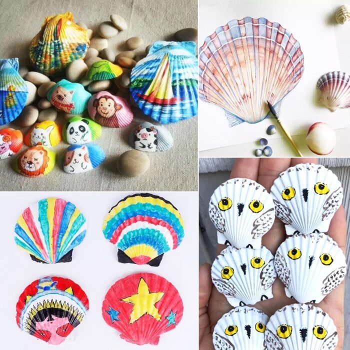 Jangostor 48 PCS Scallop Shells Natural Seashell, 1.5" to 2" White Scallop Shell... - Image 4