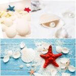 Jangostor 48 PCS Scallop Shells Natural Seashell, 1.5" to 2" White Scallop Shell... - Image 5