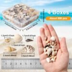 Ira Pollitt Tiny Natural Mixed Ocean Sea Shells Tiny Miniature Beach Critter Sea... - Image 3