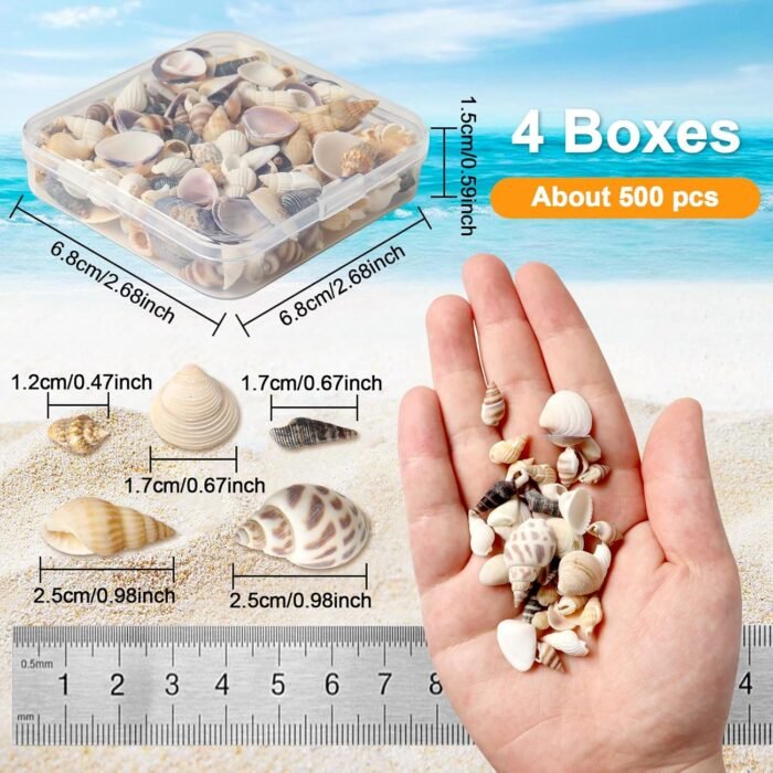 Ira Pollitt Tiny Natural Mixed Ocean Sea Shells Tiny Miniature Beach Critter Sea... - Image 3