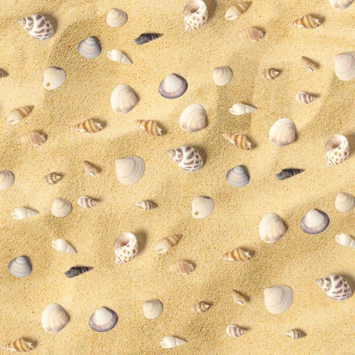 Ira Pollitt Tiny Natural Mixed Ocean Sea Shells Tiny Miniature Beach Critter Sea... - Image 4