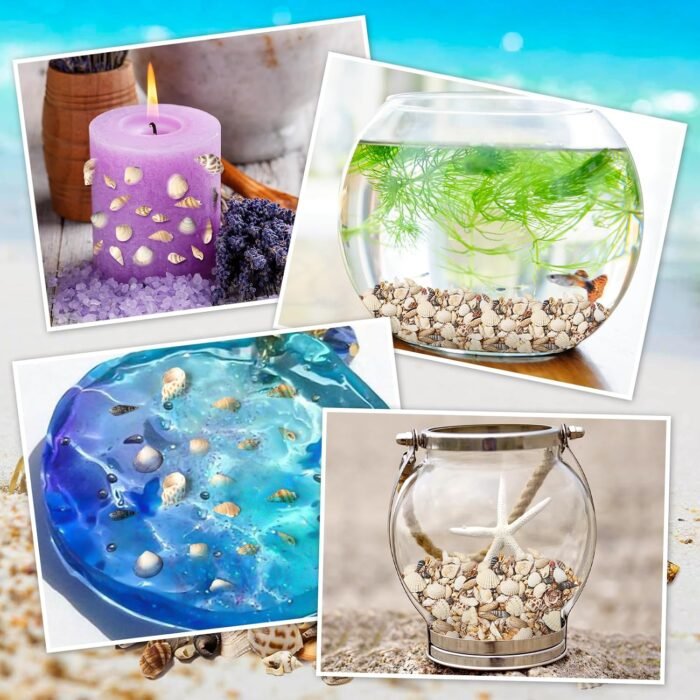 Ira Pollitt Tiny Natural Mixed Ocean Sea Shells Tiny Miniature Beach Critter Sea... - Image 7