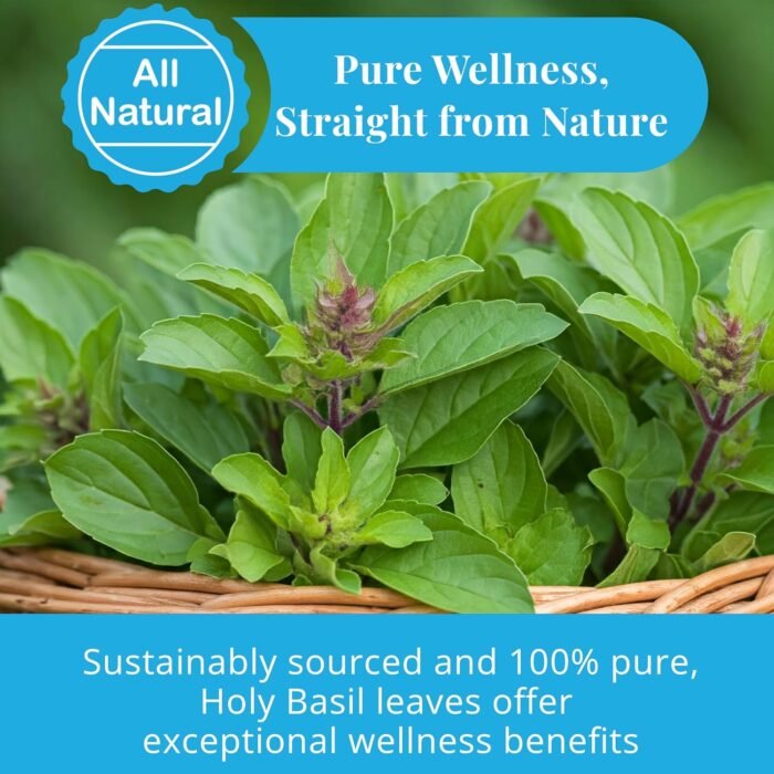 2.6oz Dried Holy Basil Leaves, Aromatic Tea, Crushed Tulsi Leaves | Relaxing and... - Image 8