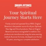 Original Botanica Money Drawing Bath and Floor Wash Spiritual Cleansing Negative... - Image 3