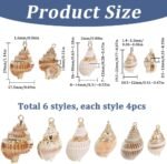 SUNNYCLUE 1 Box 24Pcs 6 Styles Conch Shell Charm Bulk Natural Shell Charms Summe... - Image 3