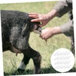 Angoily Animal Handling Gloves Anti-puncture Full Arm Gloves 50pcs Disposable Li... - Image 6