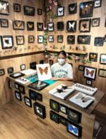 Real Death Head Moth Acherontia Black Frame Skull Butterfly Handmade Shadow Box ... - Image 6