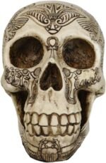 Ebros Gift Bone Ancient Egyptian Gods Paranormal Voodoo Scarab Dung Beetle Skull... - Image 4