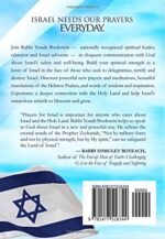 Prayers for Israel: New and Ancient Prayers Based on Psalms, Sacred Writings, an... - Image 3