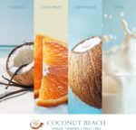 Home Scented Candles, Jar Candles for Home Scented, Air Freshener Candle, 200 Ho... - Image 6