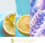 Home Scented Candles, Jar Candles for Home Scented, Air Freshener Candle, 200 Ho... - Image 7