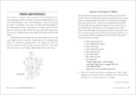 Herbs for Natural Beauty: Create Your Own Herbal Shampoos, Cleansers, Creams, Ba... - Image 4