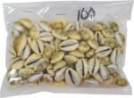 Yellow Money Cowrie Shells (100-Pack) - Image 6