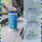 Pet Life Unlimited Carpet Refresher & Deodorizer Powder - Pet Safe, Plant-Based ... - Image 4
