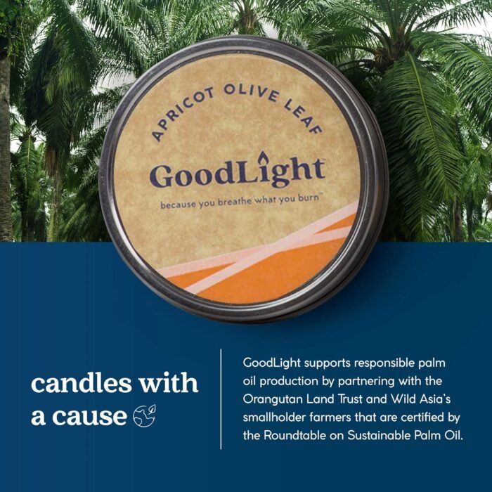 Paraffin-Free Scented Candle, Clean Burning Non-Toxic Tin Candles, Apricot Olive... - Image 5