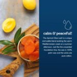 Paraffin-Free Scented Candle, Clean Burning Non-Toxic Tin Candles, Apricot Olive... - Image 5