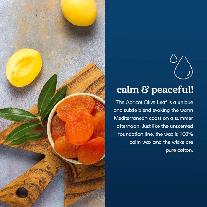 Paraffin-Free Scented Candle, Clean Burning Non-Toxic Tin Candles, Apricot Olive... - Image 6