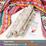 Wanderlust 9” White Sage Smudge Stick - Extra Large Smudging Wand Incense Stick ... - Image 5