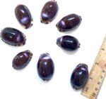 8 PCS, Purple top Conch Shell, Purple Tiger Shell, 1.2-2 inches - Image 3