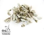 Premium White Sage Cluster Incense 1 Oz (28g) | Hoja De Salvia Blanca Entera | S... - Image 7