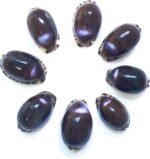 8 PCS, Purple top Conch Shell, Purple Tiger Shell, 1.2-2 inches - Image 2